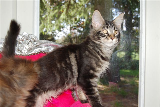 youp gaga en nina week 15 027.jpg